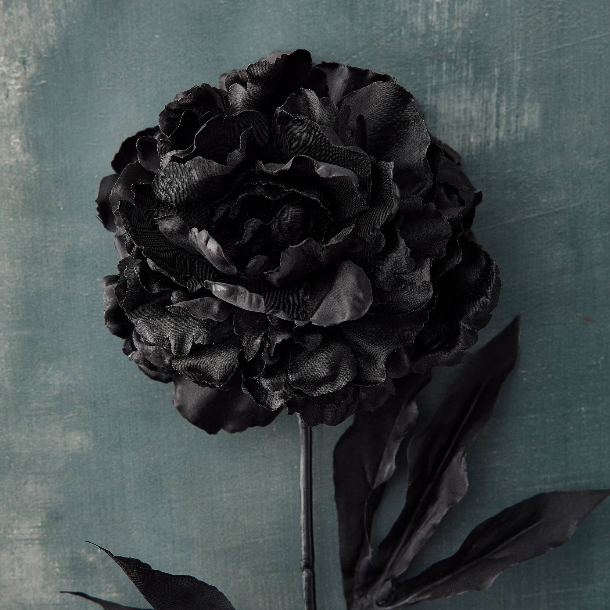 Peony Stem by Ashland®
